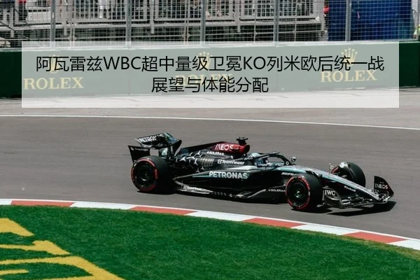a-wa-lei-zi-chao-zhong-liang-ji-wei-mian-lie-mi-ou-hou-tong-yi-zhan-zhan-wang-yu-ti-neng-fen-pei-3-689.jpg
